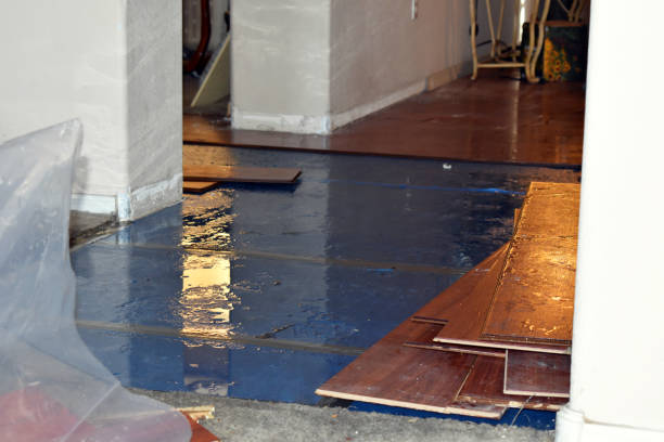 Professional Basement Flood Cleanup technician working in Glen Ferris, WV